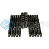 WAGNER TUNING P101092010.BR AUDI RS6 C5 OEM HEAD STUD SET - BURNISHED