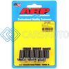 ARP 200-2906 80-01 CHEVROLET 305-502 FLYWHEEL / FLEXPLATE BOLT KIT