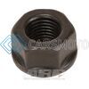ARP 200-8606 7/16 INCH-20 HEX NUT KIT