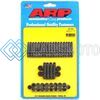 ARP 254-1904 FORD 302-351W 12PT OIL PAN W/ SIDE RAIL BOLT KIT