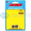 ARP 200-8644 5/16-24 HEX FLANGE NUT KIT