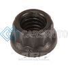 ARP 300-8370 M6 X 1.00 12PT NUT KIT