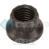ARP 300-8376 M12 X 1.75 M14 SOCKET 12PT NUT KIT