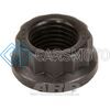 ARP 301-8360 M12 X 1.25 (5/8 WR) 12PT NUT KIT