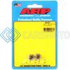 ARP 400-8311 M8 X 1.25 M10 WR 12PT STAINLESS STEEL NUT KIT