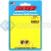 ARP 400-8321 5/16 X 24 SS 12PT NUT KIT
