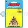 ARP 401-8343 5/16-18 12PT NUT KIT SS - 10 PK