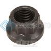 ARP 300-8371 3/8-24 1/2 SOCKET 12PT NUT KIT