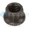 ARP 301-8303 5/16-18 12PT NUT KIT