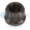ARP 301-8313 1/2-20 11/16 SOCKET 12PT NUT KIT