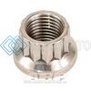 ARP 400-8302 3/8-24 SS 12PT NUT KIT