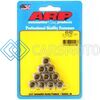 ARP 400-8331 5/16-24 SS 12PT NUT KIT