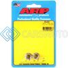 ARP 400-8351 M9 X 1.00 (M11 WR) SS 12PT NUT KIT