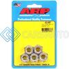 ARP 400-8667 1/2-13 SS COARSE NYLOC HEX NUT KIT