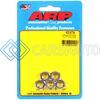 ARP 400-8754 3/8-24 SS FINE HEX NUT KIT