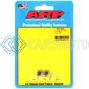 ARP 401-8320 1/4-20 SS 12PT NUT KIT
