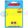 ARP 401-8321 3/8-16 SS 12PT NUT KIT