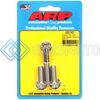 ARP 430-7401 CHEVY SS 12PT THERMOSTAT HOUSING BOLT KIT