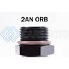 RADIUM ENGINEERING 14-0427 FITTING 2AN ORB PLUG