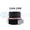 RADIUM ENGINEERING 14-0434 12AN ORB TO 12AN MALE REMOTE FITTING