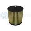 AFE 80-10403G 09-24 HONDA TRX250X ARIES POWERSPORTS PRO GUARD7 AIR FILTER