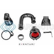 EVENTURI EVE-N20-CF-INT ВПУСКНАЯ СИСТЕМА BLACK CARBON ДЛЯ BMW N20 (120I, 220I, 320I, 328I)