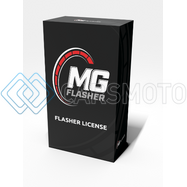 ЛИЦЕНЗИЯ MG FLASHER ДЛЯ BMW N63