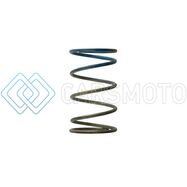 TURBOSMART TS-0505-2005 WG40 10PSI OUTER SPRING BROWN/BLUE