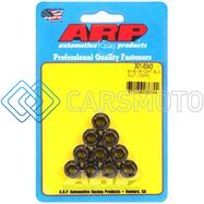 ARP 301-8343 5/16IN-18 12PT BLACK OXIDE NUT KIT (10-PKG)