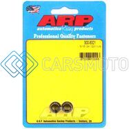 ARP 300-8321 5/16-24 12PT NUT KIT