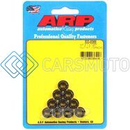 ARP 300-8366 M7 X 1.00 12PT NUT KIT (10/PKG)