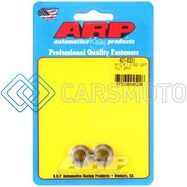 ARP 401-8331 M10 X 1.0 SS 12PT NUT KIT (2/PKG)