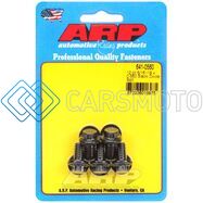 ARP 641-0560 5/16-18 X 0.560 12PT BLACK OXIDE BOLTS