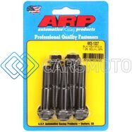 ARP 663-1007 M10 X 1.25 X 50 HEX BLACK OXIDE BOLTS (5/PKG)