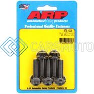 ARP 673-1003 M10 X 1.25 X 30MM 12PT BLACK OXIDE BOLTS (SET OF 5)