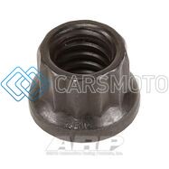 ARP 301-8300 1/4-20 12PT NUT KIT