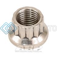 ARP 400-8302 3/8-24 SS 12PT NUT KIT