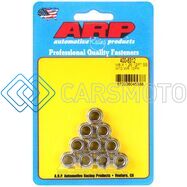 ARP 400-8312 M8 X 1.25 12PT SS NUT KIT
