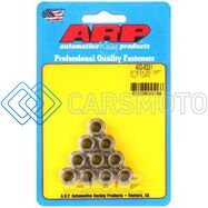 ARP 400-8331 5/16-24 SS 12PT NUT KIT