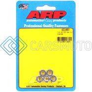 ARP 400-8651 1/4-20 SS COARSE HEX NUT KIT