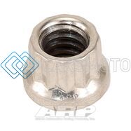 ARP 401-8300 1/4-20 SS 12PT NUT KIT