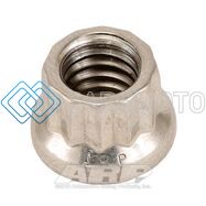 ARP 401-8303 5/16-18 SS 12PT NUT KIT