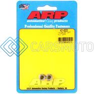 ARP 401-8320 1/4-20 SS 12PT NUT KIT
