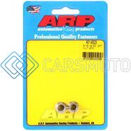 ARP 401-8323 5/16-18 SS 12PT NUT KIT