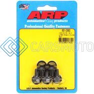 ARP 651-0560 5/16-18 X 0.560 HEX BLACK OXIDE BOLTS