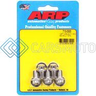 ARP 713-0500 3/8-24 X .500 12PT SS BOLTS