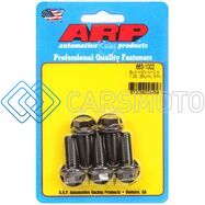 ARP 663-1002 M10 X 1.25 X 25 HEX BLACK OXIDE BOLTS