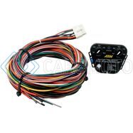 AEM 30-3305 V2 MULTI INPUT CONTROLLER KIT - 0-5V/MAF FREQ OR V/DUTY CYCLE/MAP