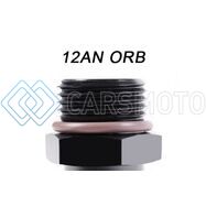 RADIUM ENGINEERING 20-1000-12750 12AN ORB BANJO TO 3/4AN SAE MALE FITTING