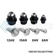 SNOW PERFORMANCE SNF-20142 10AN FILTER INSERT